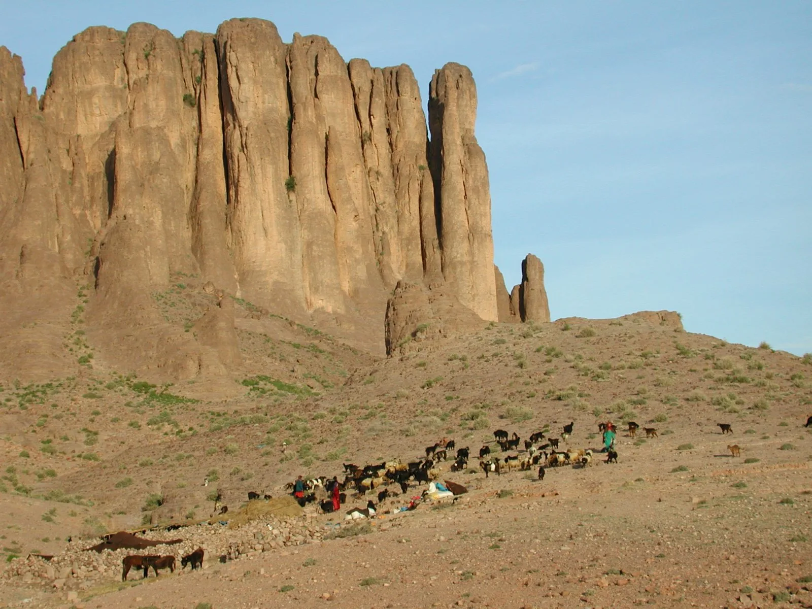 Herd beneath a large rock wall in the Saghro